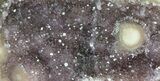 Druzy Purple Amethyst Cluster On Wood Base #83889-4